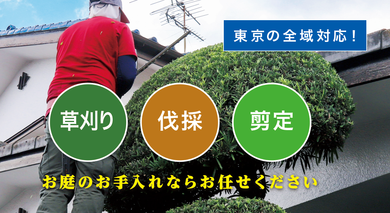 䓌őEÊȂȗ叫v