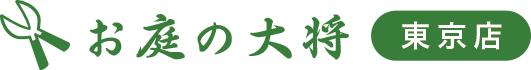 ̑叫 X