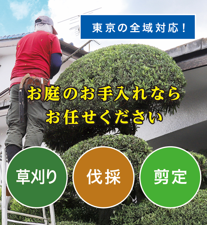 草刈り、伐採、剪定、お庭のお手入れならお任せください